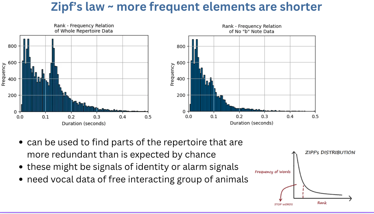 Two duration-frequency histograms: the full budgerigar repertoire has a second concentration of longer notes, while the distribution after excluding note type b decreases more smoothly.